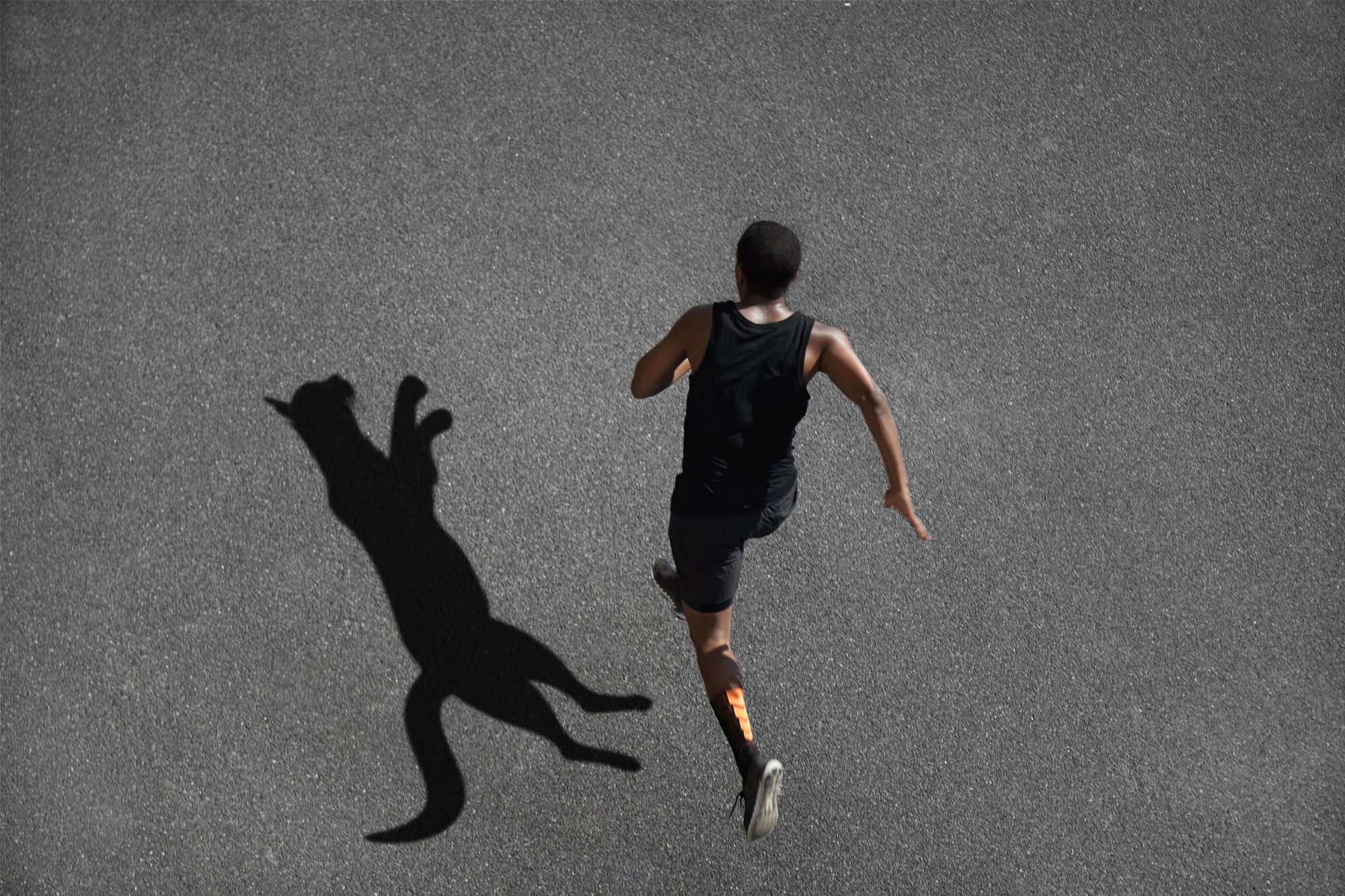 PURR PROFESSIONAL SERIES